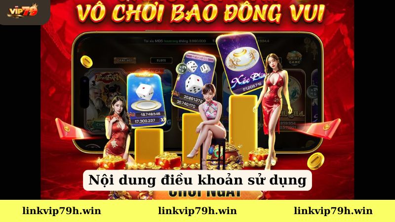 Nội dung điều khoản và điều kiện Vip79